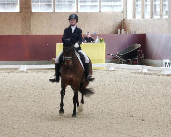 Reitturnier Balingen 2023