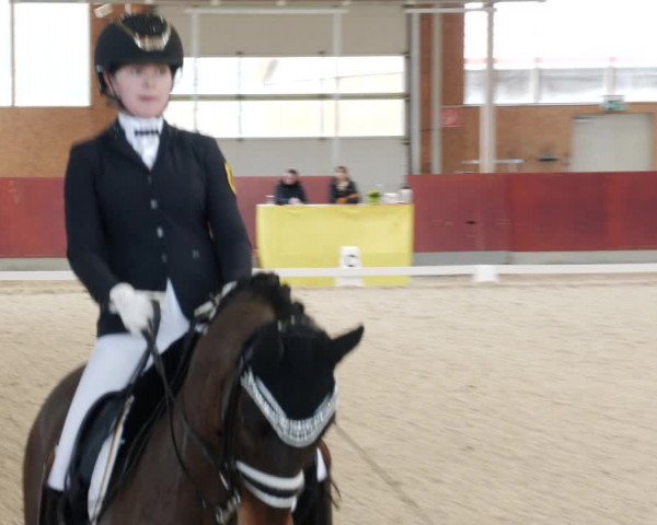 Reitturnier Balingen 2023