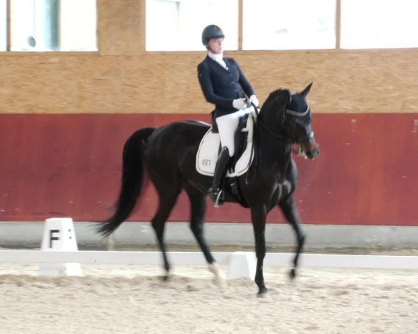 Reitturnier Balingen 2023