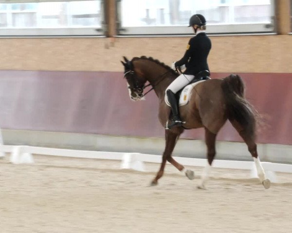 Reitturnier Balingen 2023