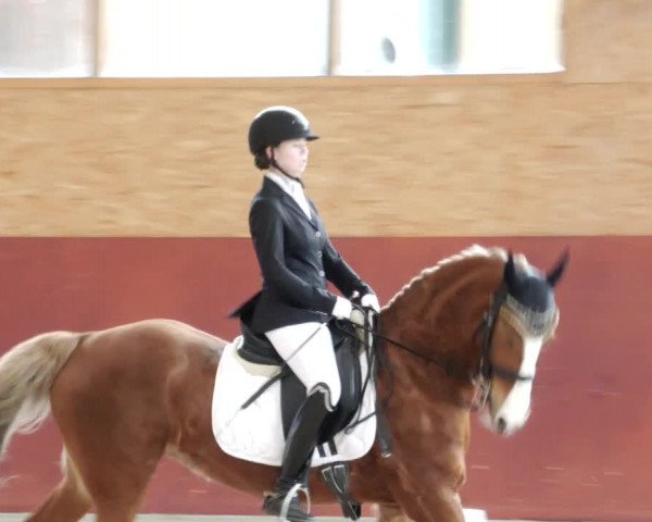Reitturnier Balingen 2023