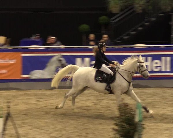 FEI Reitturnier Neumünster (GER) 2021