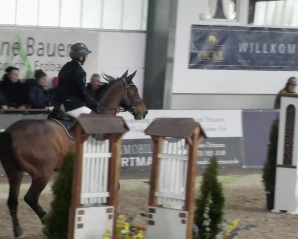 Reitturnier Karlsfeld/Obb. 2023