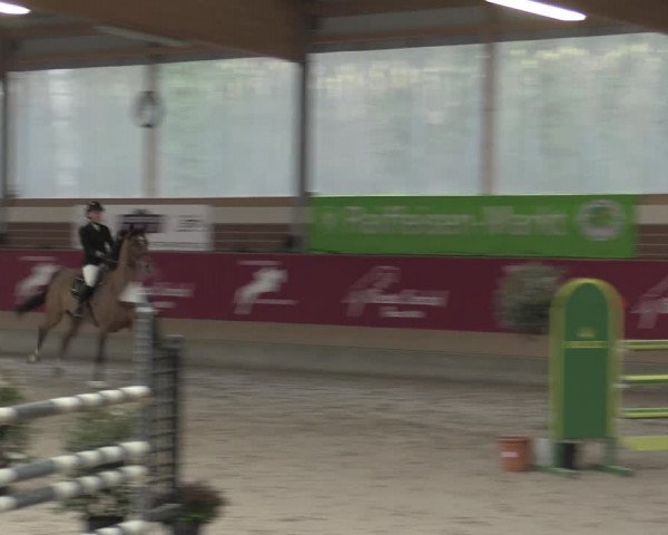 Reitturnier Kaldenkirchen - Gestüt Seehof 2023