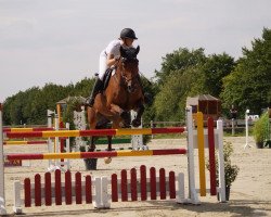 Springpferd Lex Caterhan (Hannoveraner, 2008, von Lex Lugar)