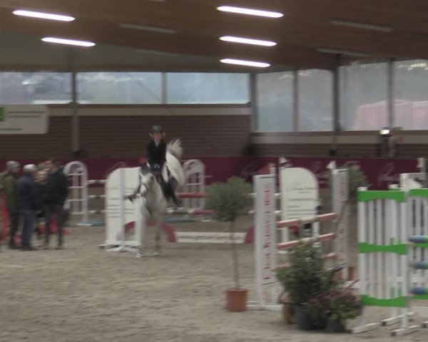 Reitturnier Kaldenkirchen - Gestüt Seehof 2023