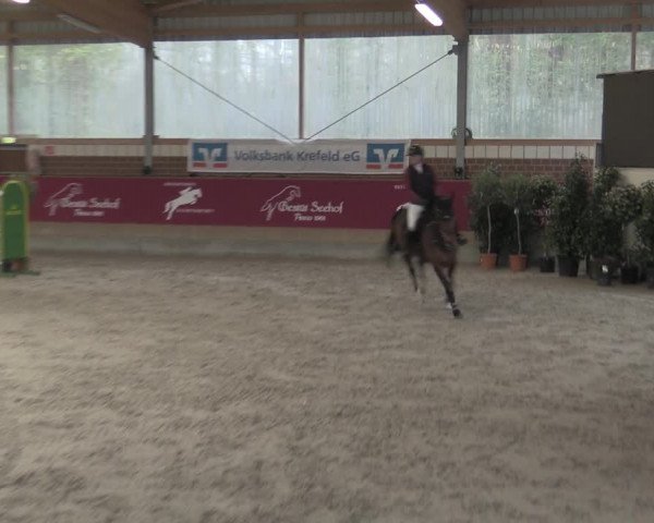 Reitturnier Kaldenkirchen - Gestüt Seehof 2023