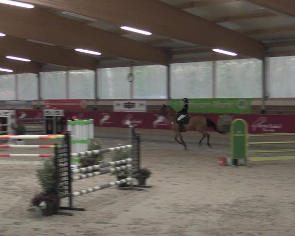 Reitturnier Kaldenkirchen - Gestüt Seehof 2023