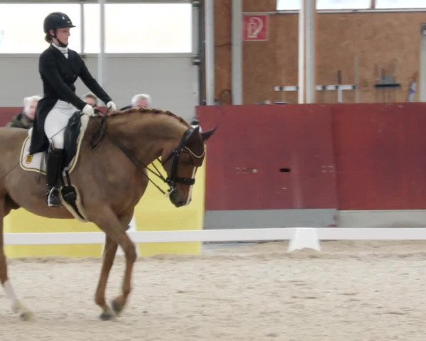 Reitturnier Balingen 2023
