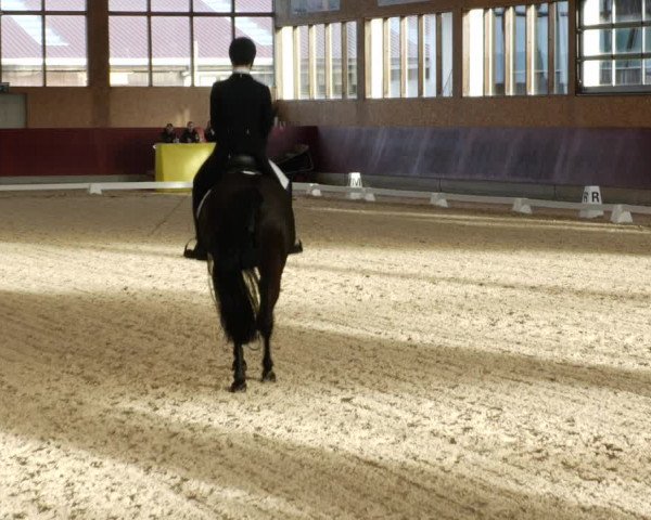 Reitturnier Balingen 2023