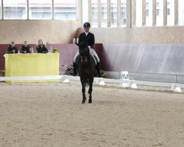 Reitturnier Balingen 2023