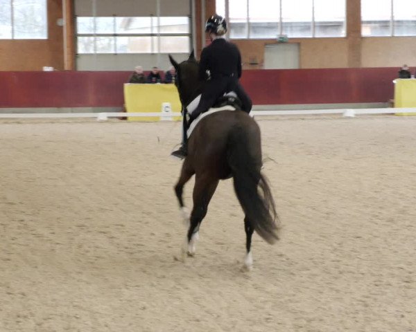 Reitturnier Balingen 2023