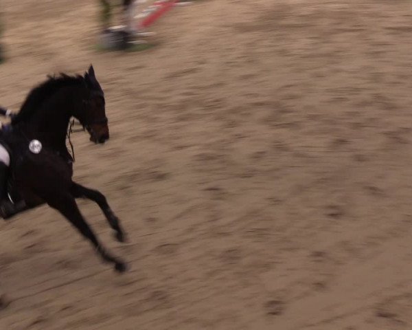 11. Nordic Jumping event Negernbötel 2023