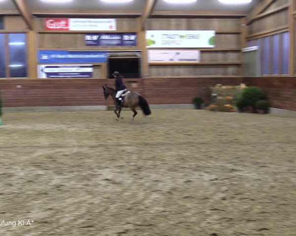 Reitturnier Coesfeld/Lette 2021