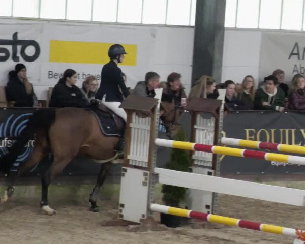 Reitturnier Karlsfeld/Obb. 2023