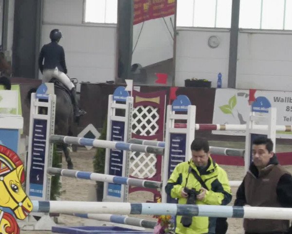 Reitturnier Karlsfeld/Obb. 2023
