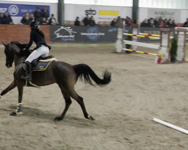 Reitturnier Karlsfeld/Obb. 2023