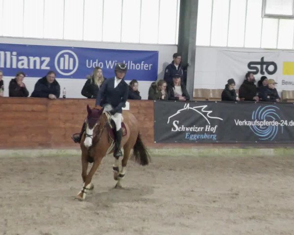 Reitturnier Karlsfeld/Obb. 2023