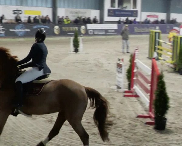 Reitturnier Karlsfeld/Obb. 2023