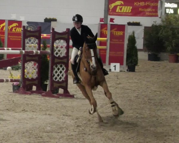 Reitturnier Karlsfeld/Obb. 2023
