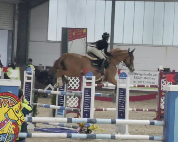 Reitturnier Karlsfeld/Obb. 2023