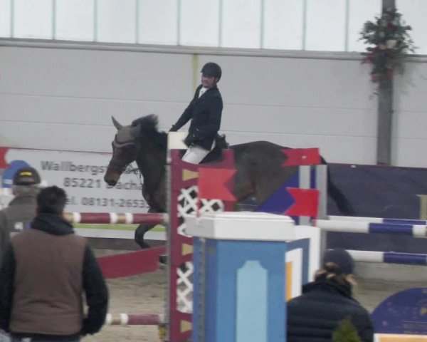 Reitturnier Karlsfeld/Obb. 2023
