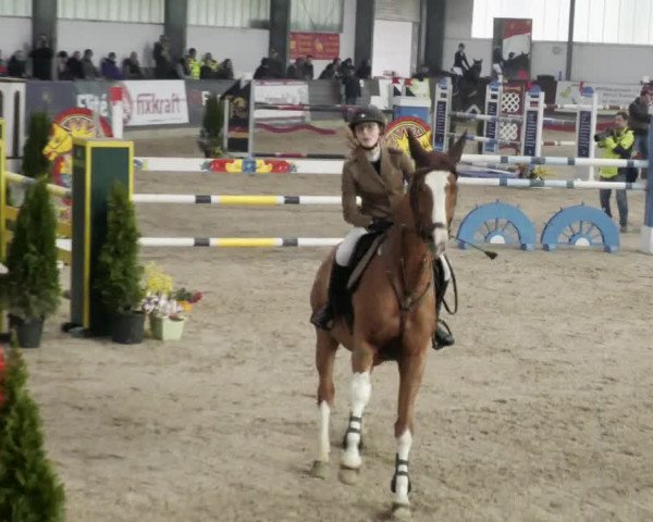 Reitturnier Karlsfeld/Obb. 2023
