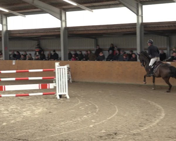 Reitturnier Schlieckau 2023
