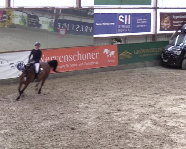 11. Nordic Jumping event Negernbötel 2023