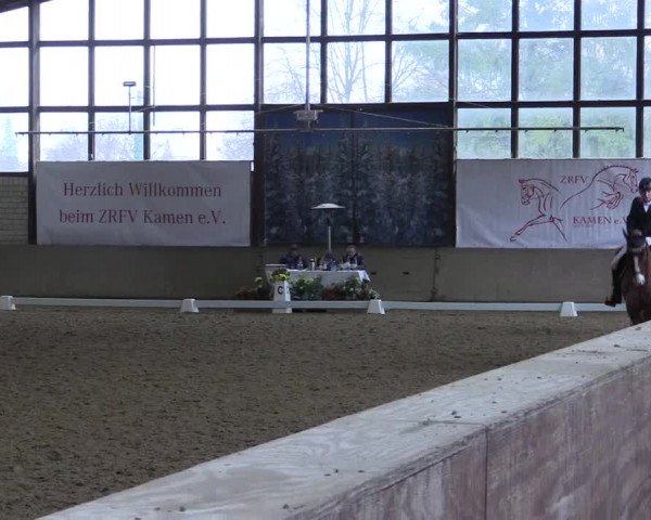 Reitturnier Kamen 2023