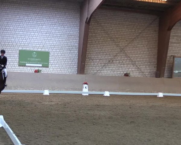 Reitturnier Kamen 2023