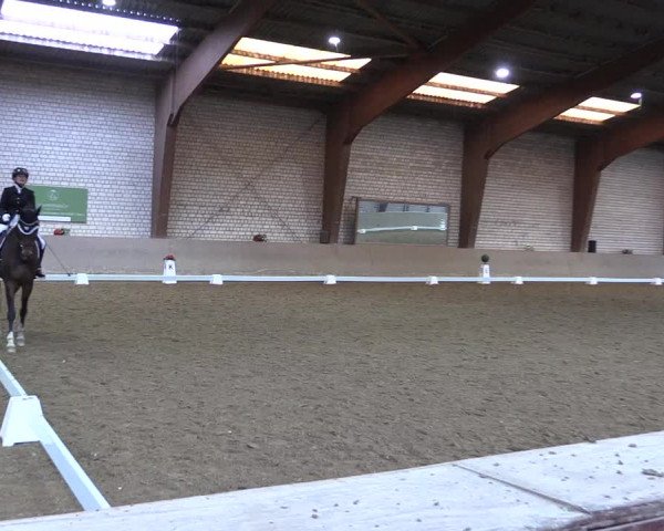 Reitturnier Kamen 2023
