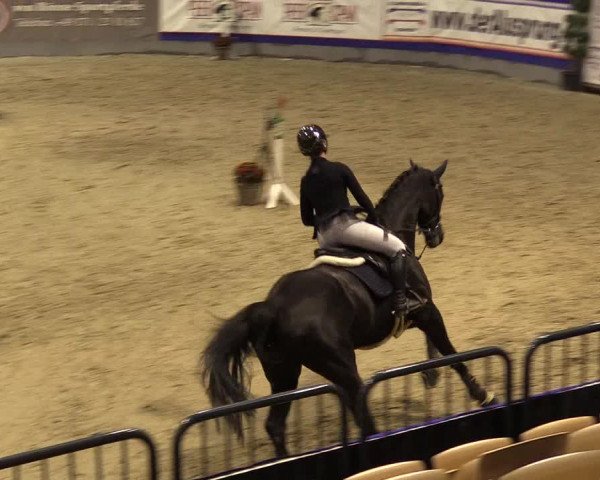 FEI Reitturnier Neumünster (GER) 2021