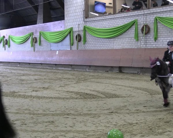 Reitturnier Hellefeld 2023