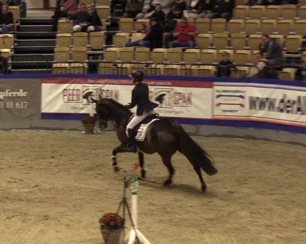 FEI Reitturnier Neumünster (GER) 2021