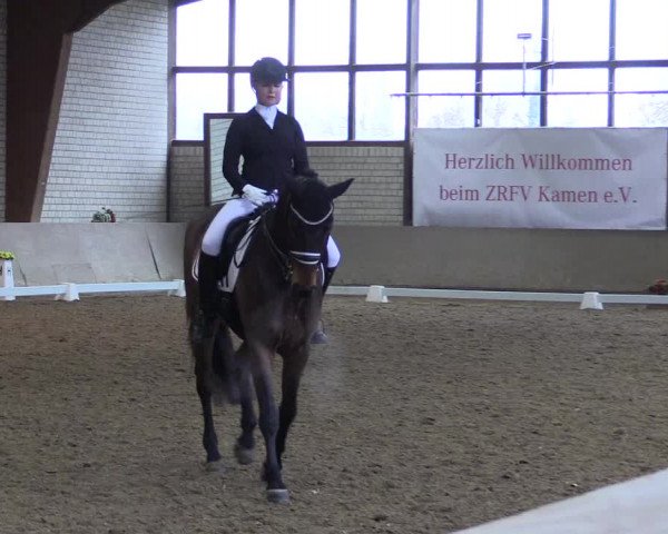 Reitturnier Kamen 2023