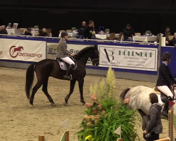 FEI Reitturnier Neumünster (GER) 2021