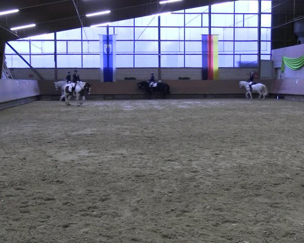 Reitturnier Hellefeld 2023