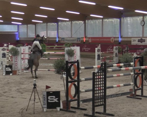 Reitturnier Kaldenkirchen - Gestüt Seehof 2023