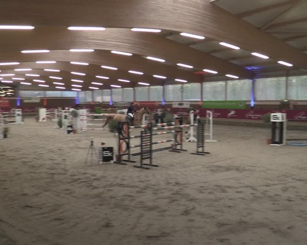 Reitturnier Kaldenkirchen - Gestüt Seehof 2023