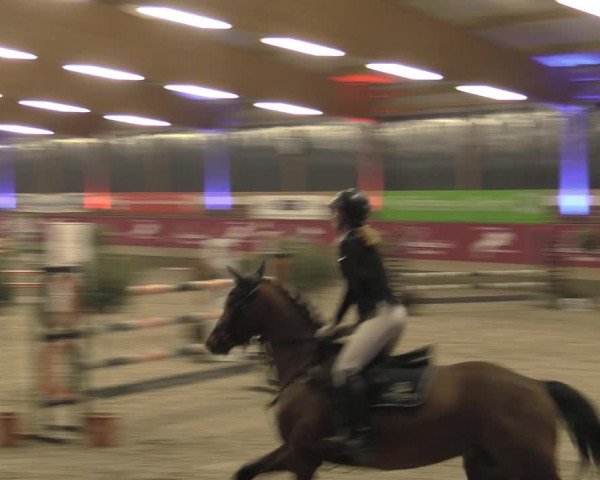 Reitturnier Kaldenkirchen - Gestüt Seehof 2023
