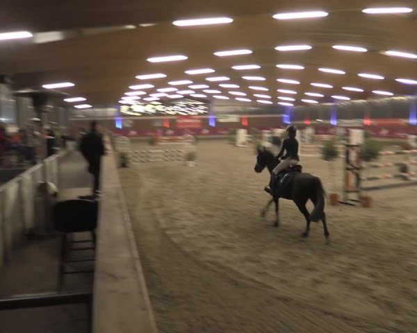 Reitturnier Kaldenkirchen - Gestüt Seehof 2023