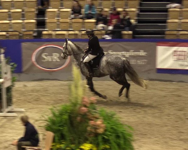 FEI Reitturnier Neumünster (GER) 2021