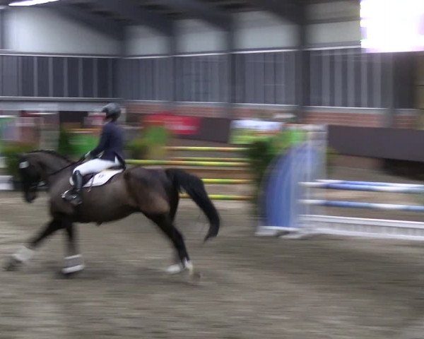 Reitturnier Greven 2023