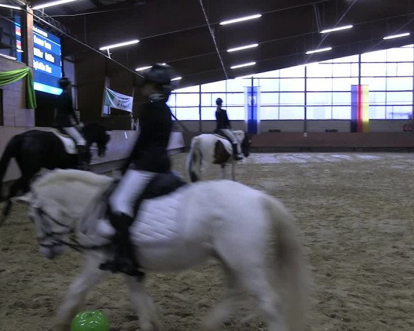 Reitturnier Hellefeld 2023