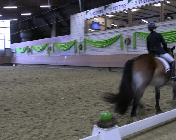 Reitturnier Hellefeld 2023