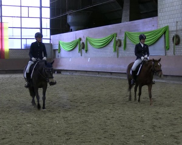 Reitturnier Hellefeld 2023