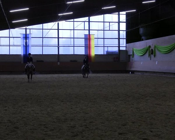 Reitturnier Hellefeld 2023