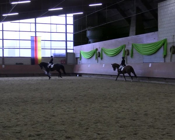 Reitturnier Hellefeld 2023