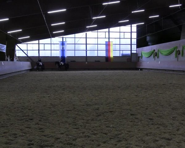 Reitturnier Hellefeld 2023